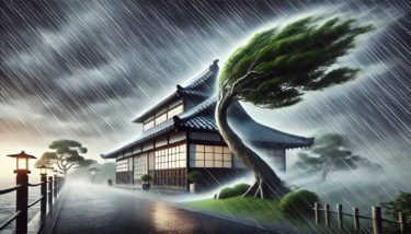 台風対策とアクアリウムの管理