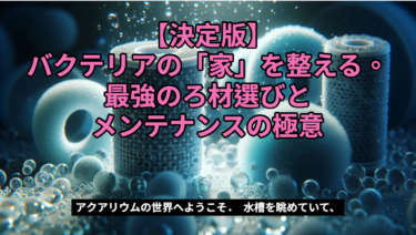 【決定版】バクテリアの「家」を整える。最強のろ材選びとメンテナンスの極意