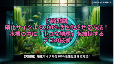 【実践編】硝化サイクルを200%活性化させる方法！水槽の中に「小さな地球」を維持するプロの技術