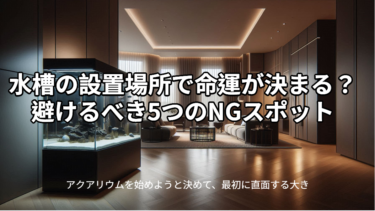 水槽の設置場所で命運が決まる？避けるべき5つのNGスポット