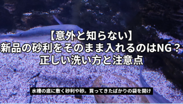 新品の砂利、そのまま水槽に入れてませんか？正しい洗い方と種類別の注意点