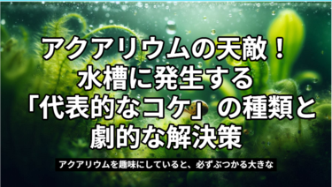 アクアリウムの天敵！水槽に発生する「代表的なコケ」の種類と劇的な解決策