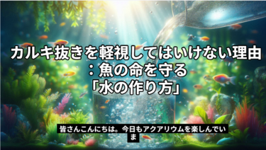 カルキ抜きを軽視してはいけない理由：魚の命を守る「水の作り方」